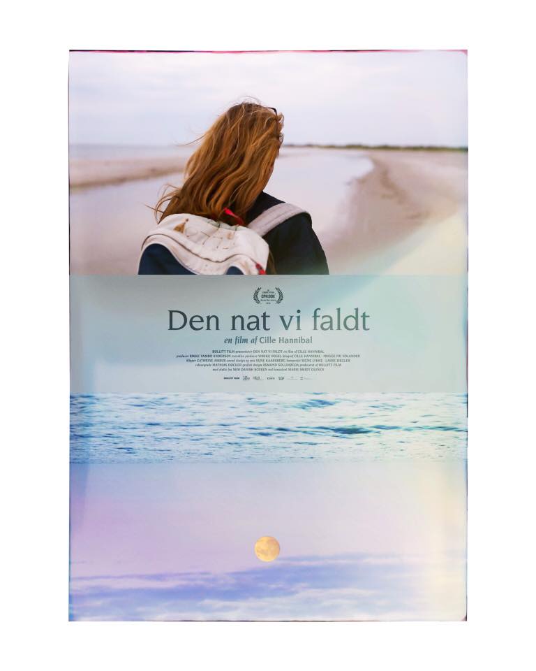 Den nat vi&nbsp;faldt