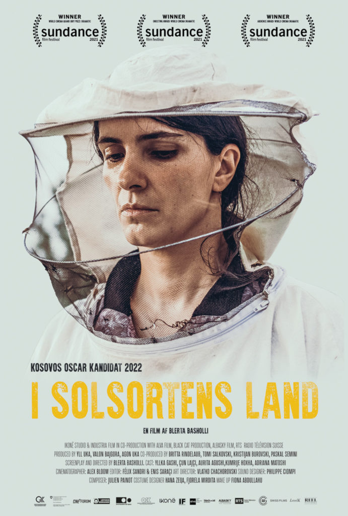 I solsortens land