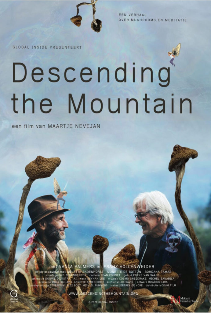 Descending The Mountain