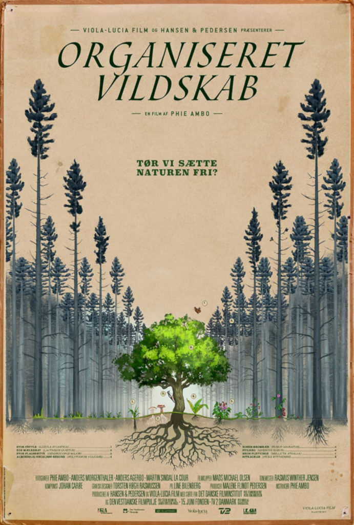 Organiseret vildskab