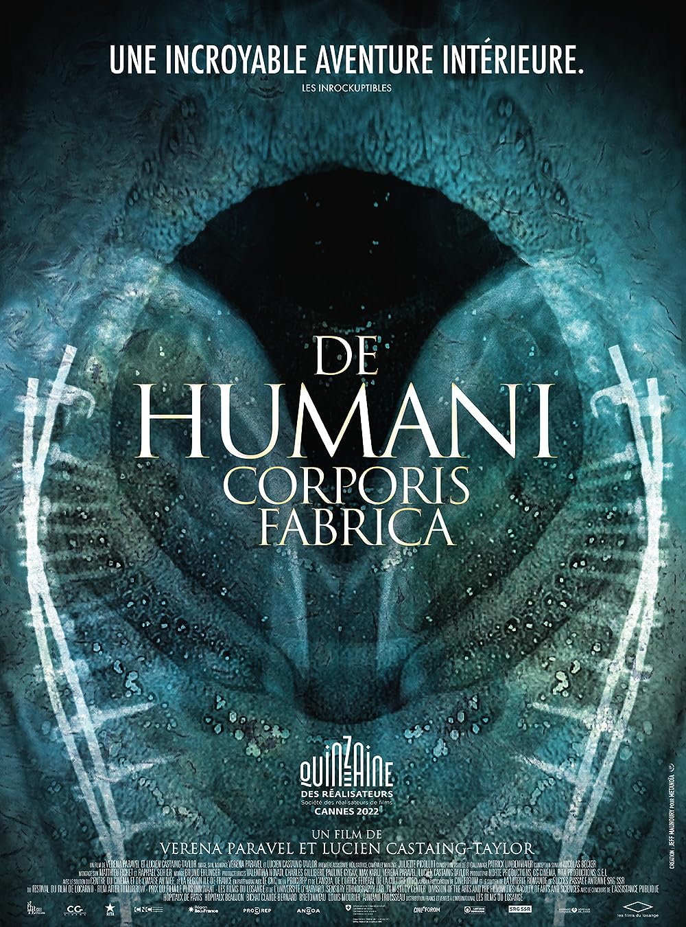 De Humani Corporis&nbsp;Fabrica