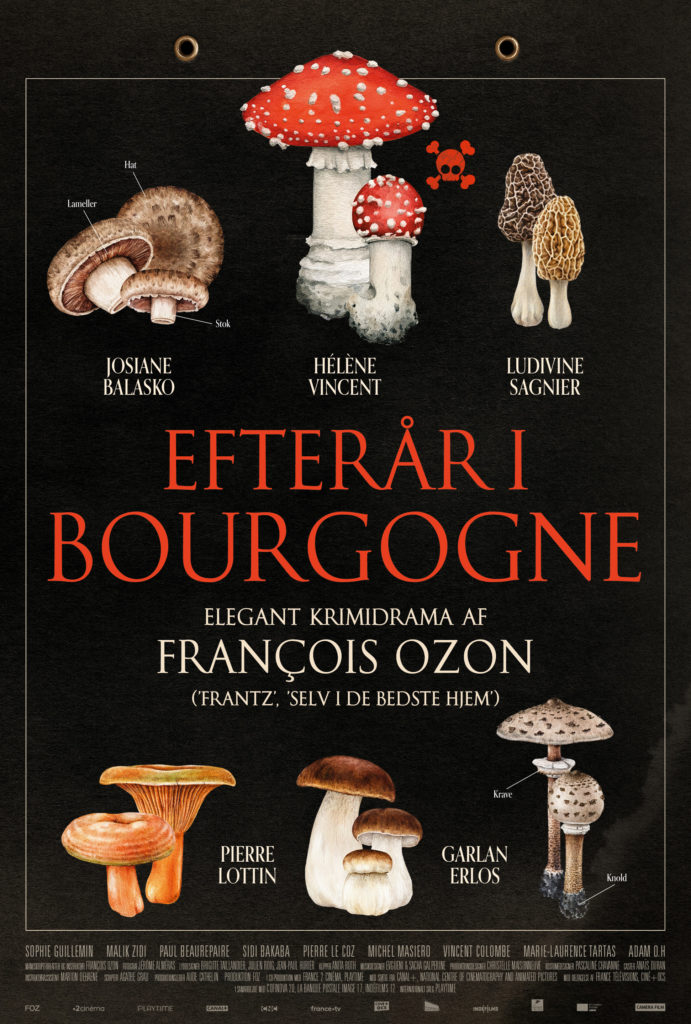 Efterår i Bourgogne